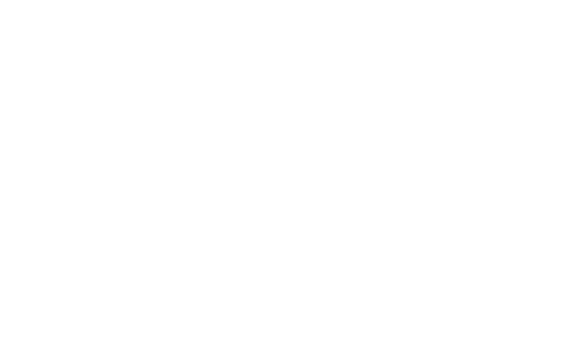 Mariposa Press